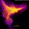 Phoenix Алексей