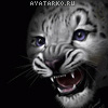 Горбовцова Анастасия