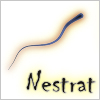 Nestrat Nestrat