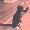 1 1