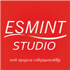 Studio Esmint
