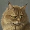Лисенок Марина