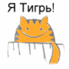Новокшенова Валерия
