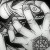 odm1nlock