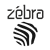 zebravideo