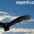 memhpis