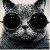 Mr_Black05