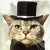 CatInHat