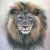 LIONUFOS