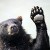 BigBear