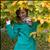Alena_SPB