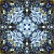 xonic_002