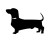 DoDo_1