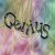 Genius_23