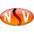 nsvision