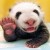 kevin_sign