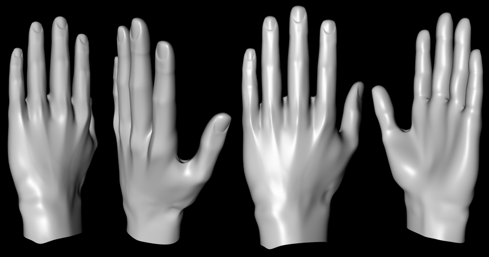 3-d модель руки