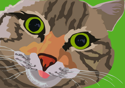 Кот