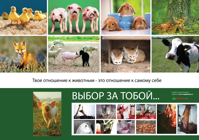 Твой выбор - постер для vegetarian.ru