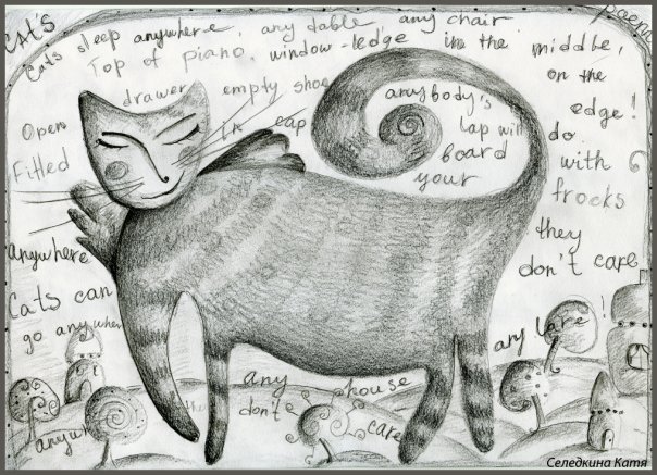 The Cat's poem
