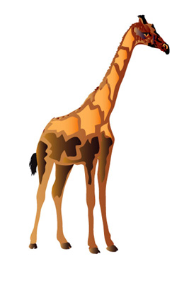 Жираф