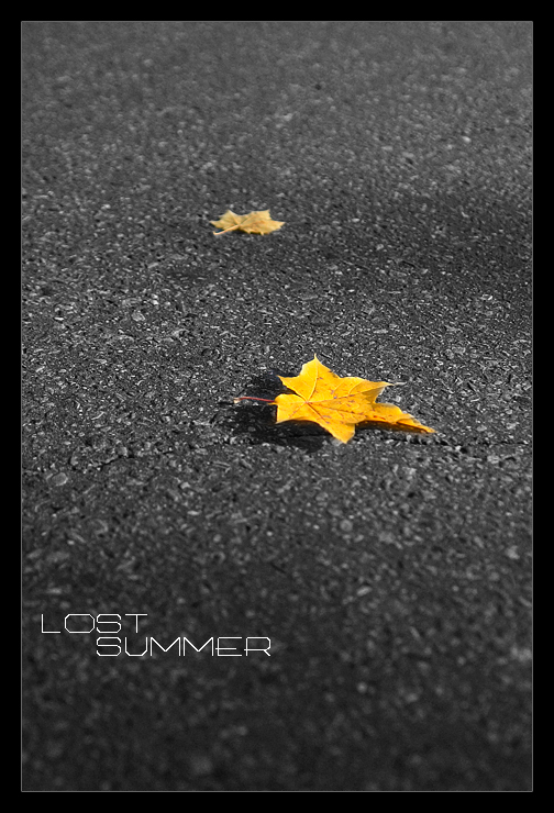 - lost summer -