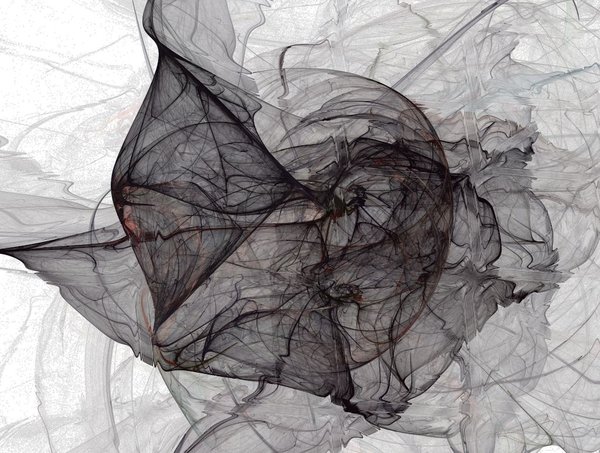 abstract5