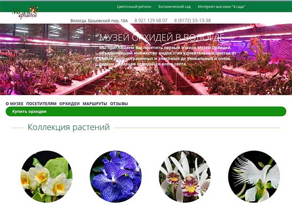 Верстка сайта Музея орхидей