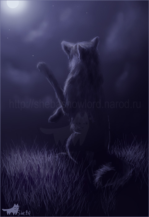 Ночь