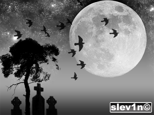 Slev1n_dark