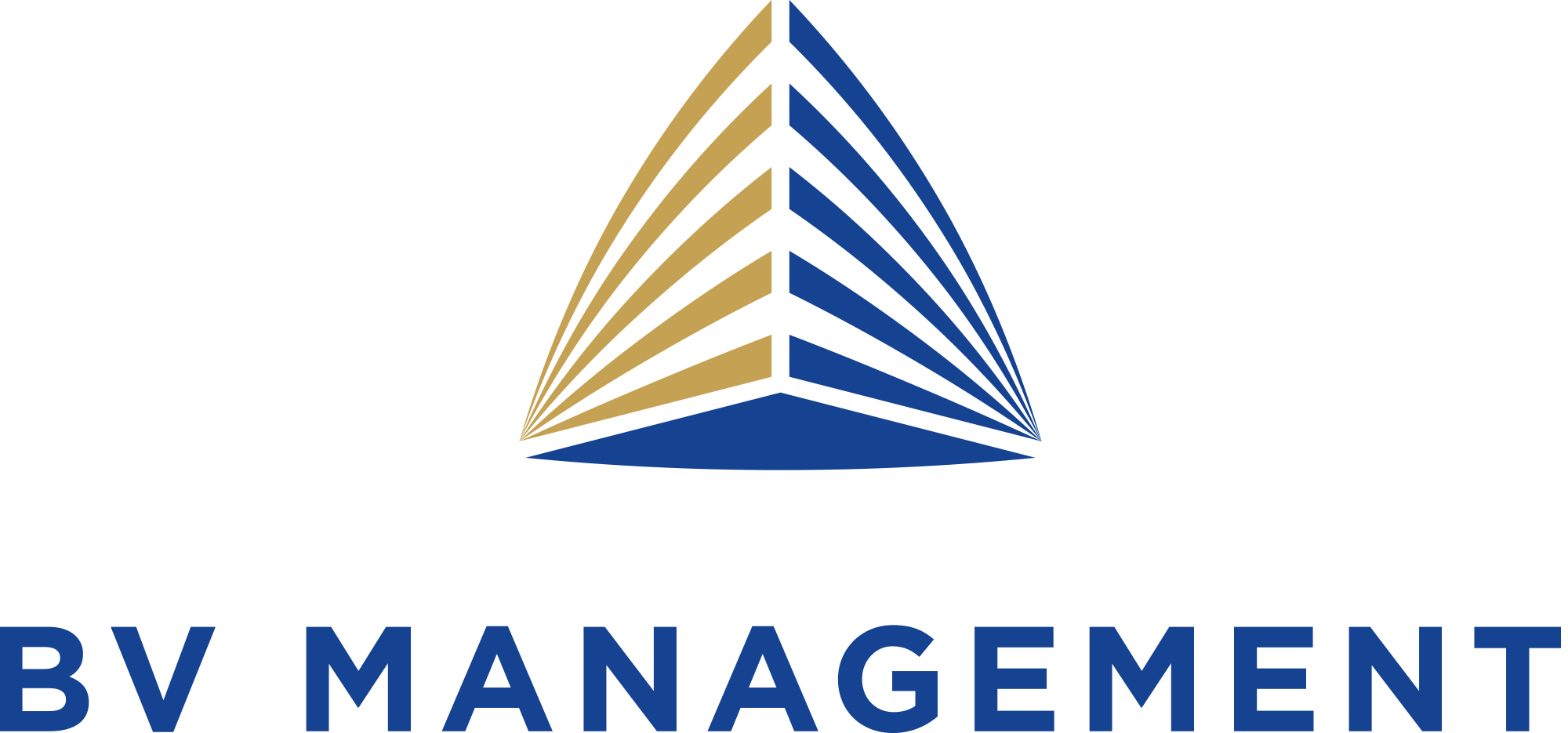 bv management