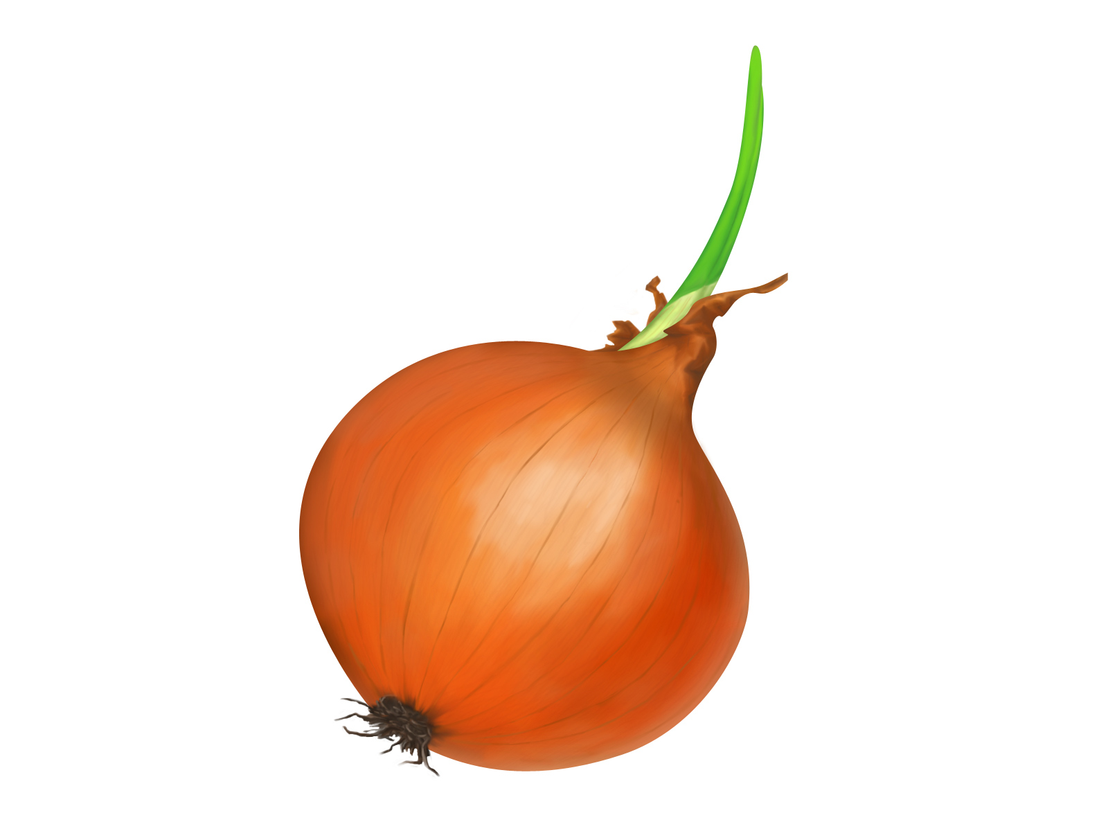 onion