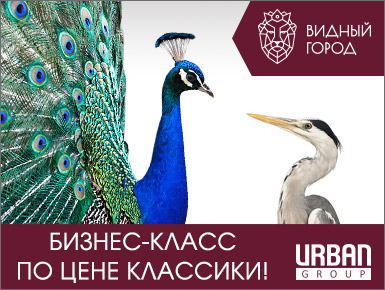 Баннер для &quot;Видного города&quot;, 2018 г.