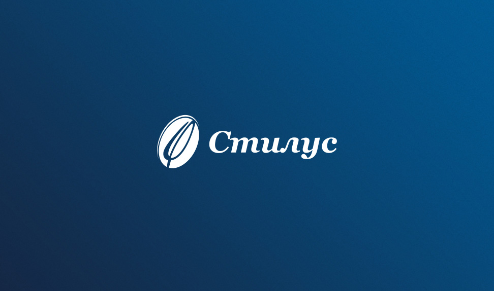 Стилус