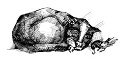 Иллюстрации к книгам &quot;Красный квадрат&quot; и &quot;Арабески&quot