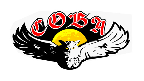Бильярдный клуб &quot;Сова&quot;