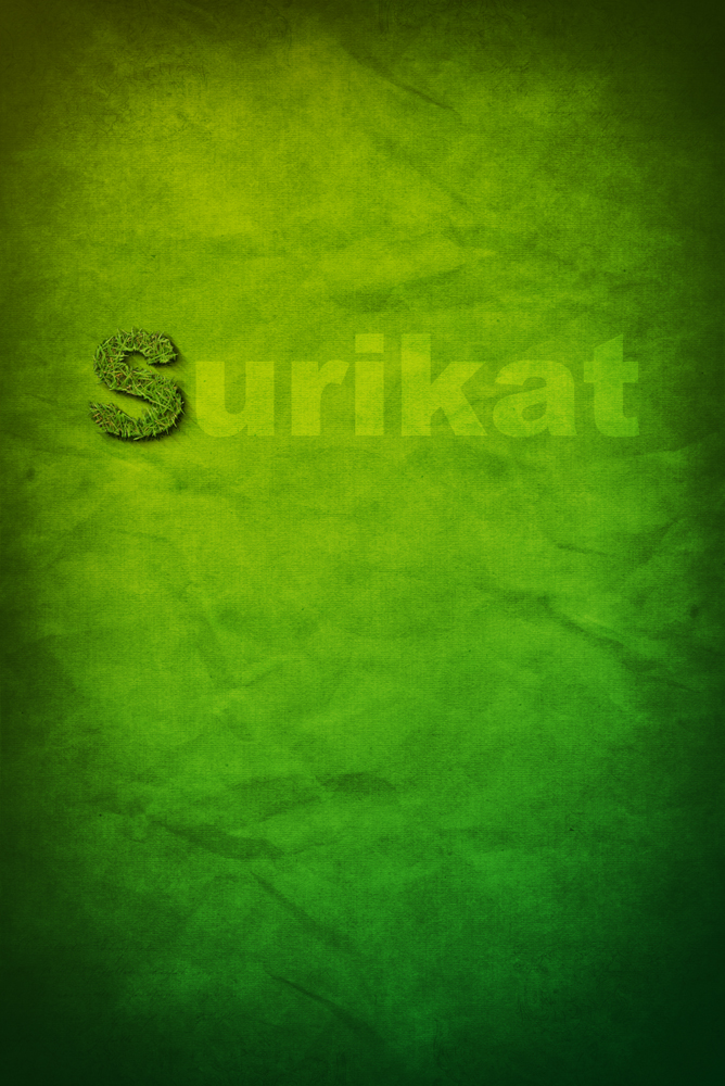 surikat