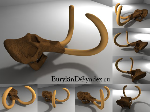 3D модель черепа мамонта с бивнями