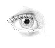 An Eye