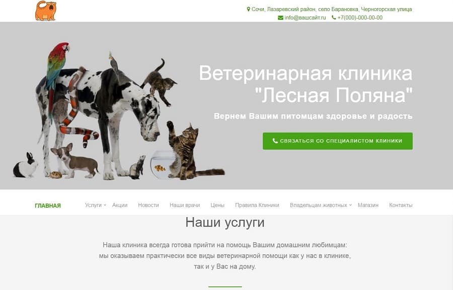 Сайты проект: сайт частной ветеринарной клиники