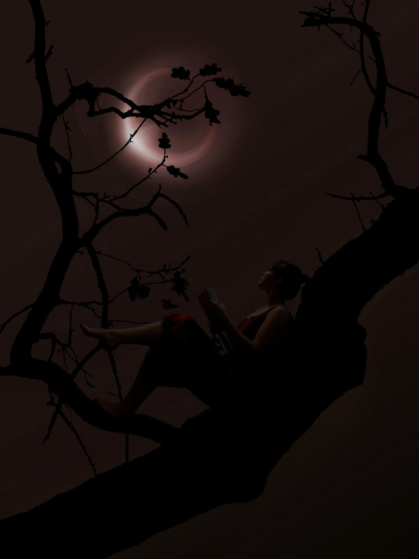 Коллаж "Лунная Ночь"