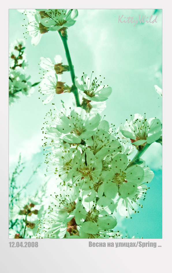 Spring