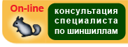 Кнопка