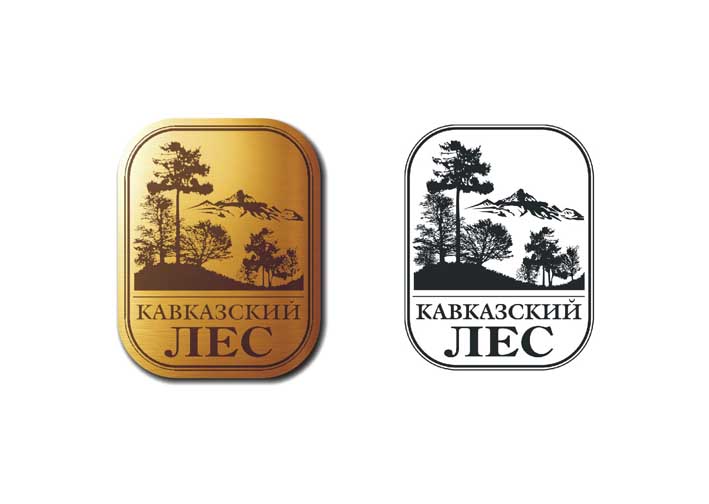 15 лого9