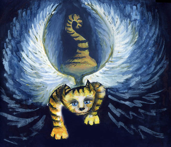 11