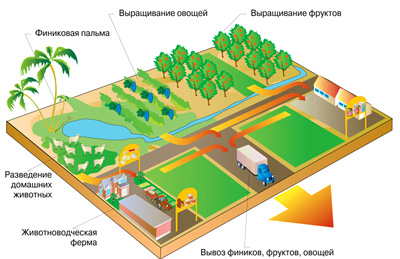 Схема сбора и переработки сельхоз продукта Африка