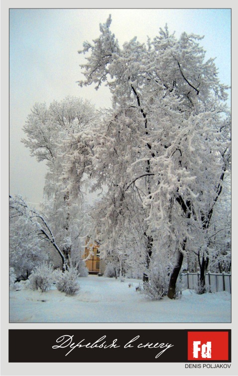 Деревья в снегу