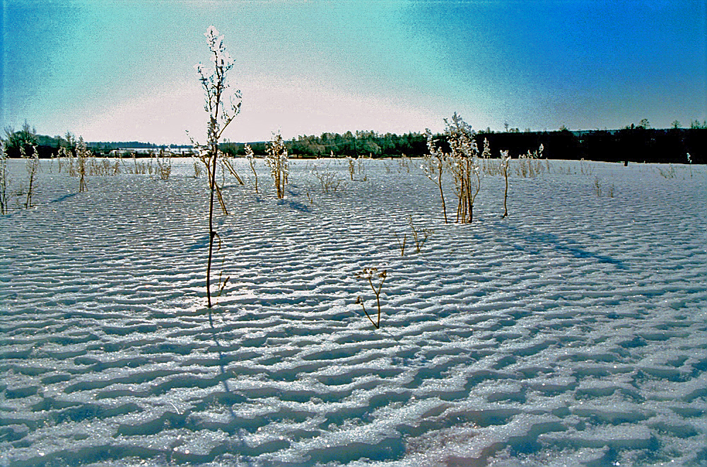 Кристаллы