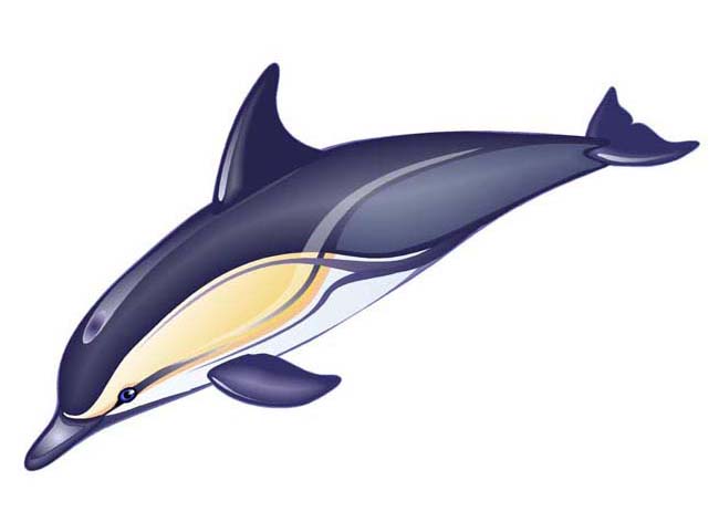 Delphinus