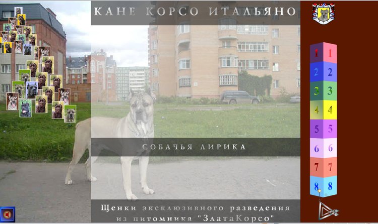 Питомник Кане Корсо